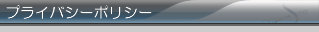 株式会社サイバーシーン　-ビジュアルイメージ-